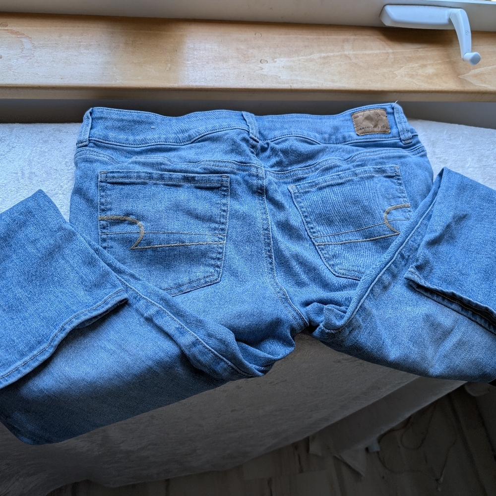 American Eagle Artist Crop 14 - Picture 11 of 14